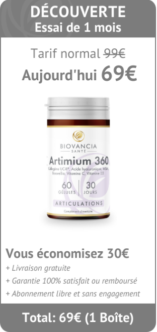 Artimium 360 prix